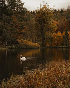 exercises 1 screenshot